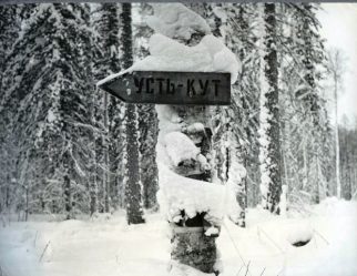 post-19416 thumbnail