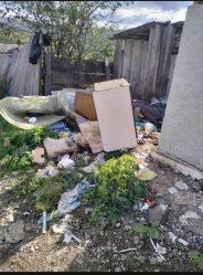 post-14865 thumbnail