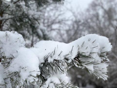 post-17721 thumbnail