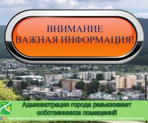 post-17766 thumbnail