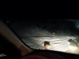 post-18993 thumbnail