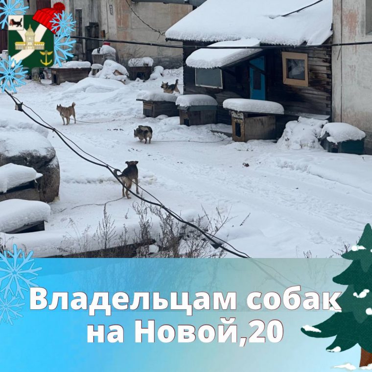 post-18745 thumbnail