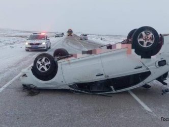 post-19145 thumbnail