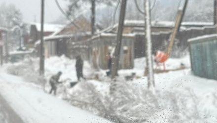 post-18451 thumbnail