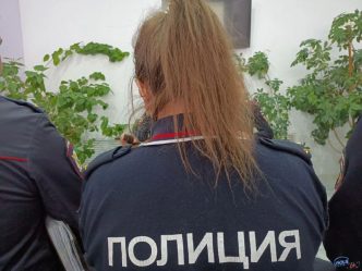 post-20393 thumbnail