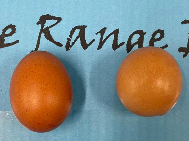 post-20566 thumbnail