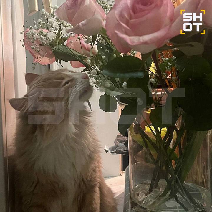 post-22379 thumbnail