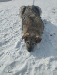 post-22312 thumbnail