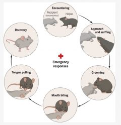 post-22605 thumbnail