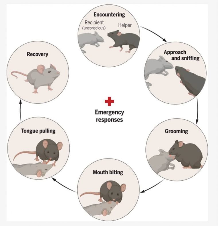 post-22605 thumbnail