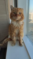 post-23206 thumbnail