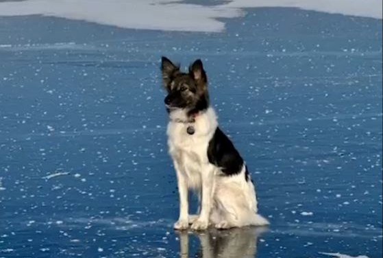 post-24394 thumbnail