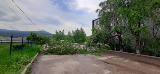 post-26127 thumbnail