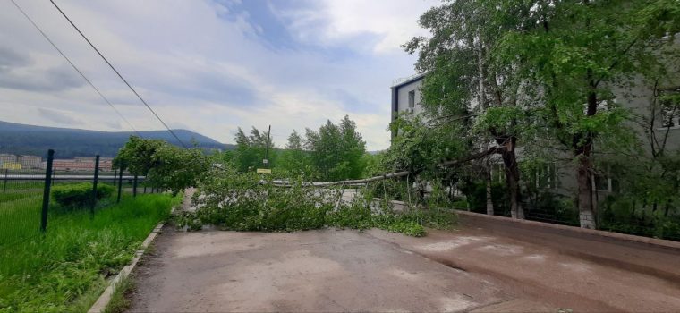 post-26127 thumbnail