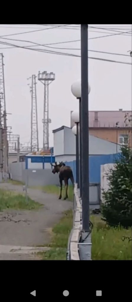 post-28054 thumbnail