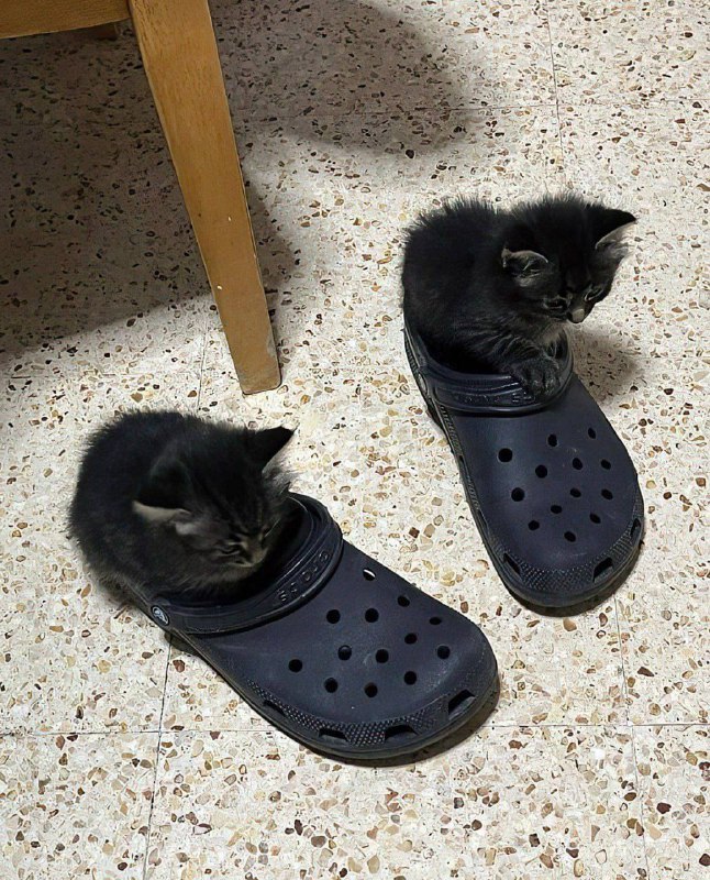 post-27619 thumbnail