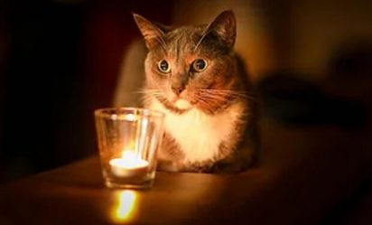 post-35210 thumbnail